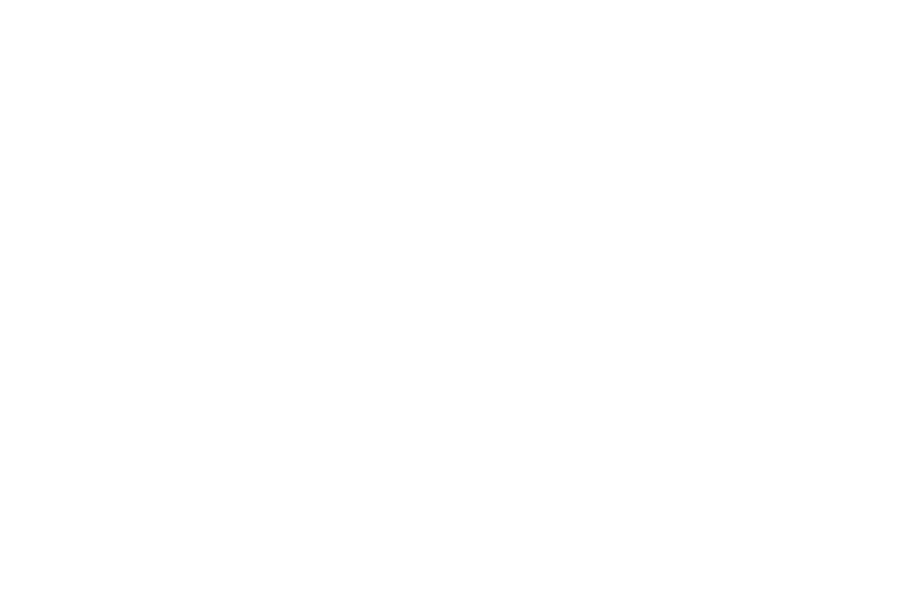 DESCUBRE LIMA
