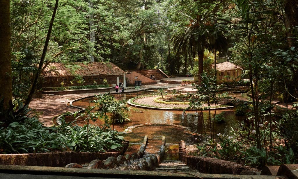 botanical-garden-photo