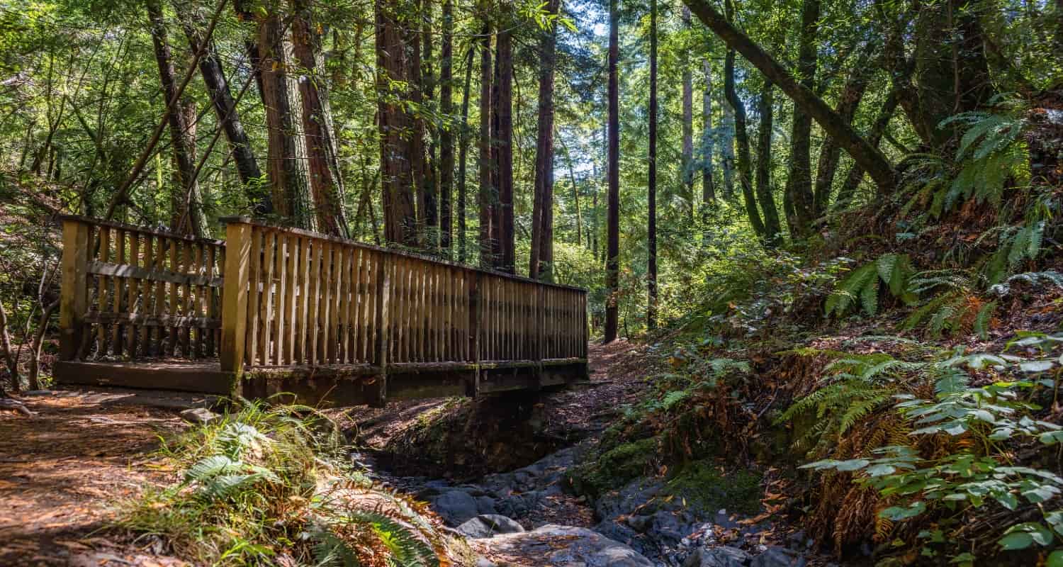 Parque Arví Medellín: guía para disfrutar sus mejores planes