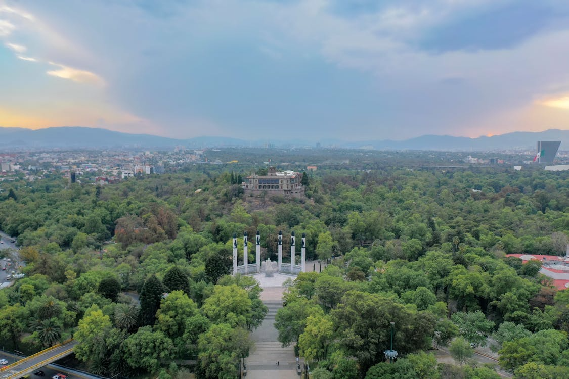 Qué hacer en el Bosque de Chapultepec: guía para disfrutar el parque más emblemático de Ciudad de México