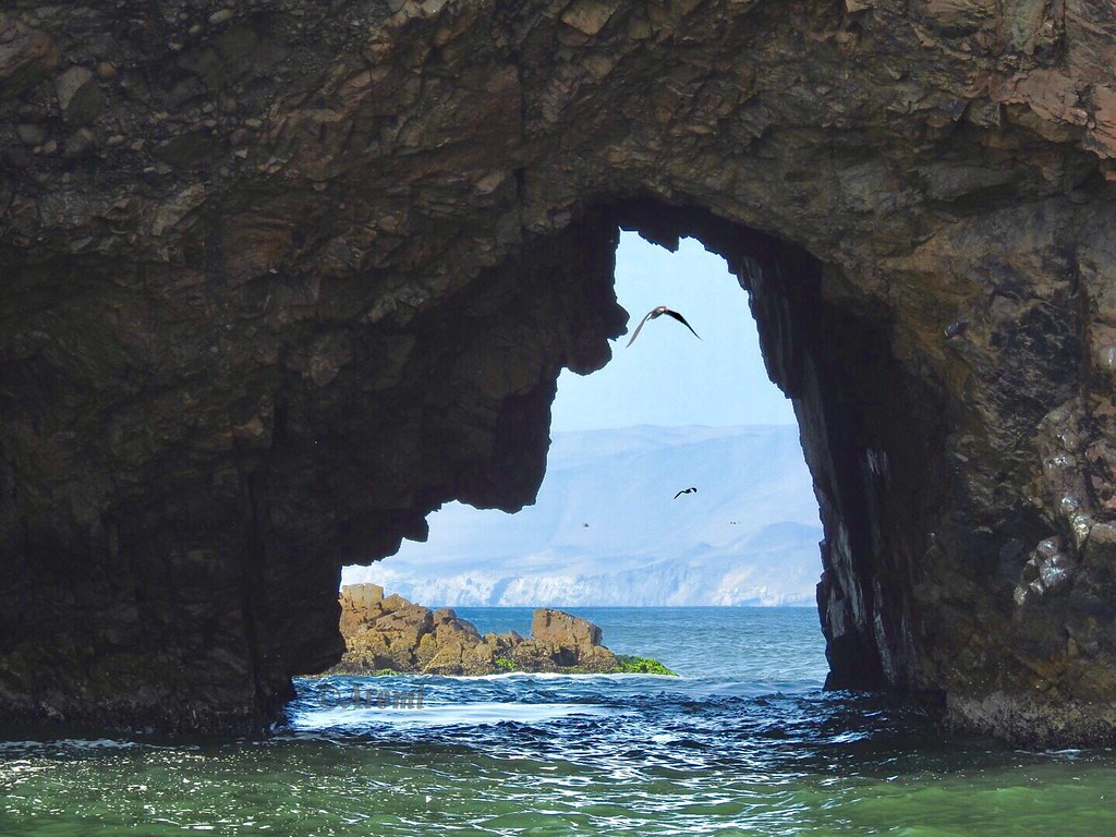 Tour en las Islas Ballestas: Todo lo que necesitas saber