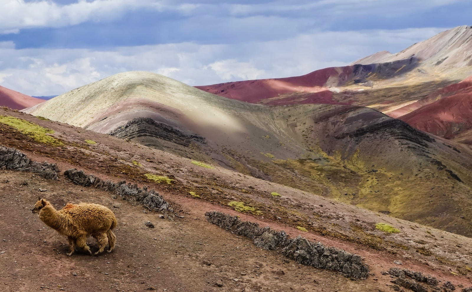 Top 7 lugares para visitar en Cusco antes de ir a Machu Picchu