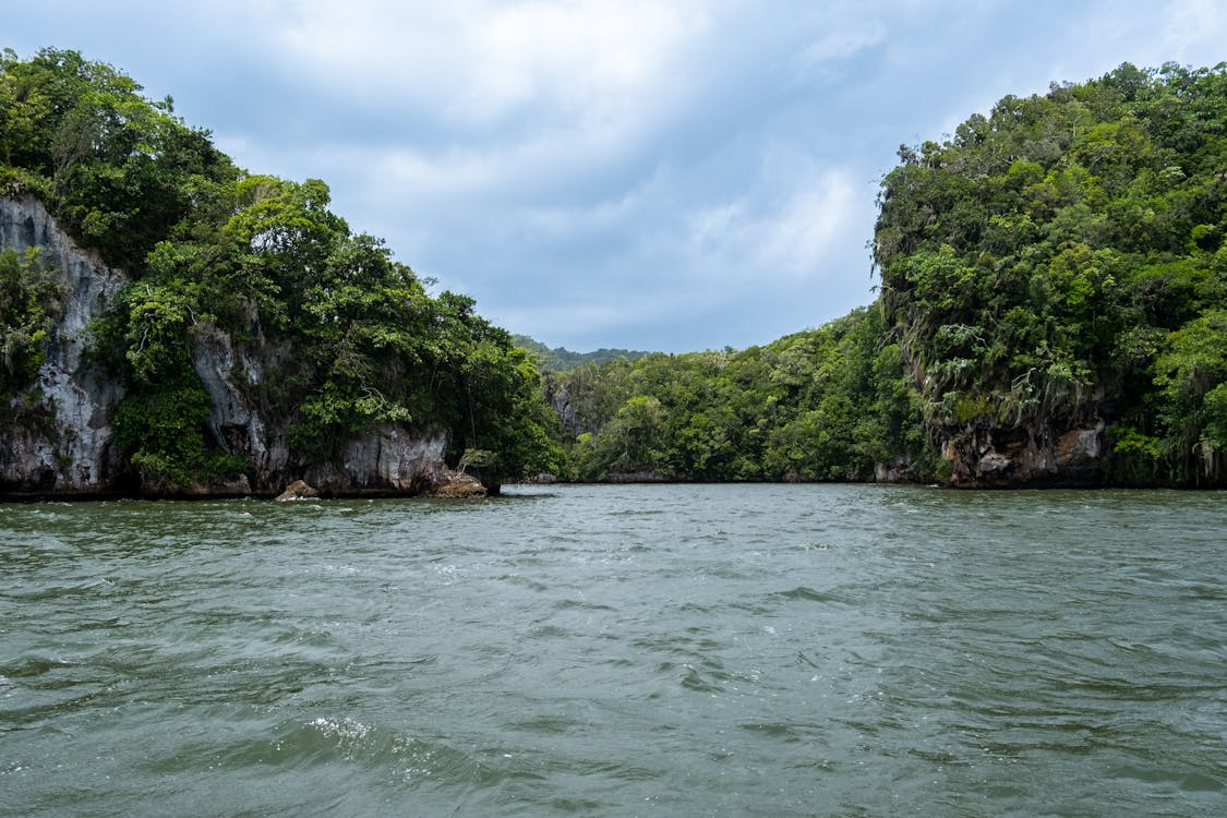 Manglares de Tumbes: Importancia y actividades para disfrutar